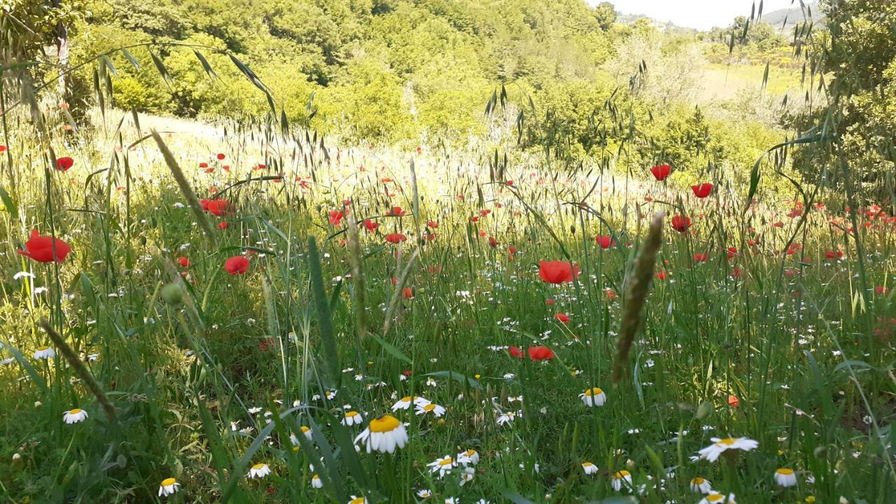 Valtopina Agriturismo Marcofrate, A Retreat In The Nature מראה חיצוני תמונה