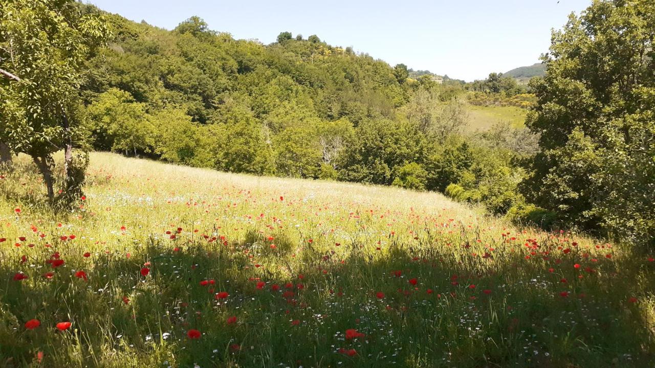 Valtopina Agriturismo Marcofrate, A Retreat In The Nature מראה חיצוני תמונה