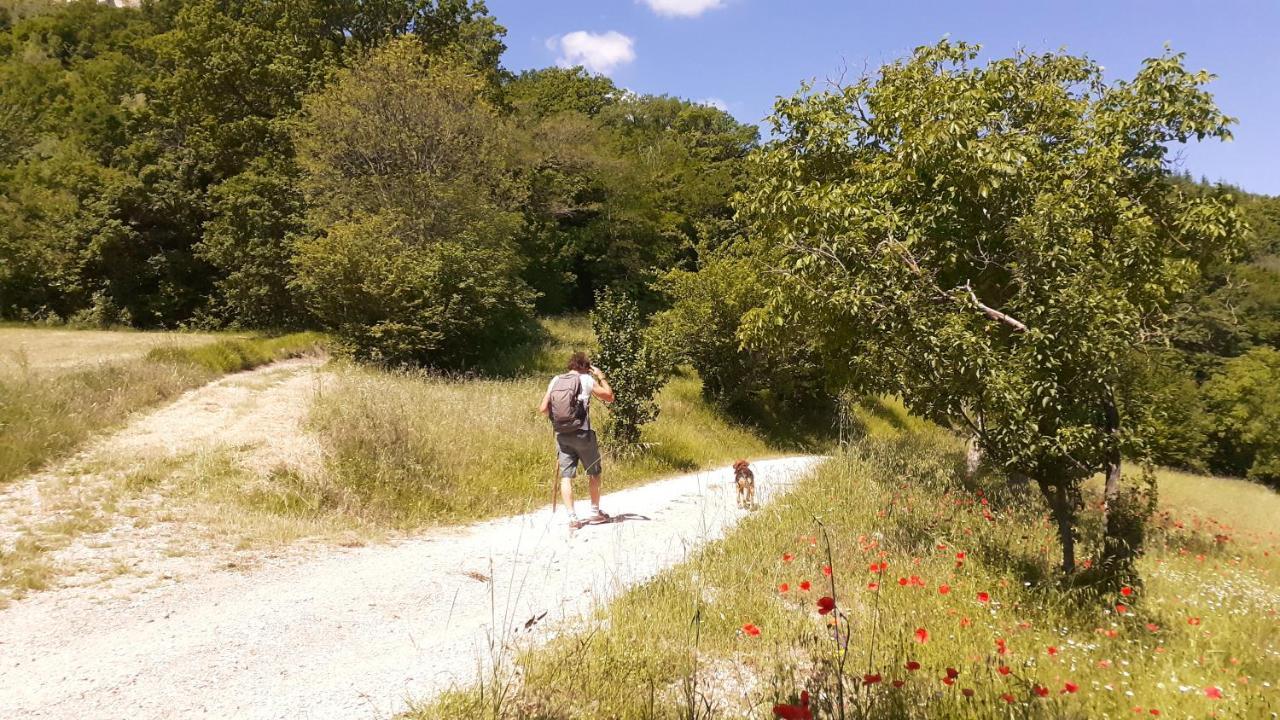 Valtopina Agriturismo Marcofrate, A Retreat In The Nature מראה חיצוני תמונה